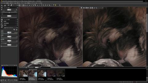 RAW現像(左)とカメラ本体で生成されたJPEG(右)顎のや目の周りの解像度が明らかに違うのが良くわかる (素材は35mm換算52.6mm F2.8 1/1000 ISO 100 バウンス撮影)