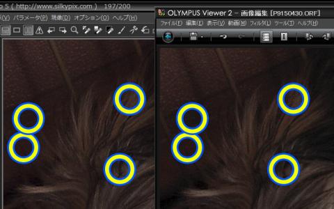 SILKYPIXはホットピクセルすらも綺麗にノイズとして処理してしまっている(左がSILKYPIX、右がOlympus Viwer 2)