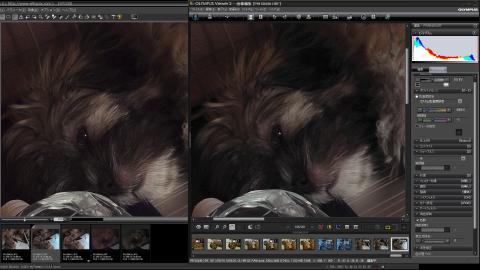 左がSILKYPIX、右がOlympus Viwer 2、Olympus Viwer 2でシャープネスを最大の5にしてもSILKYPIXの解像度に追いついていない上に多量のノイズが発生してしまう