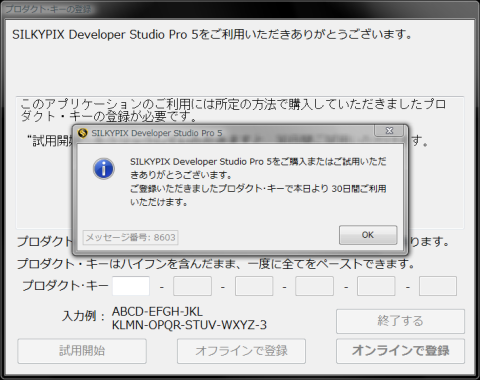 30日間の試用期間があるので興味を持った方には是非試していただきたい。