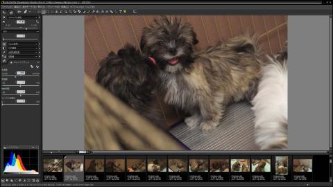 ポチポチポチとマウスを数クリックすることでここまで綺麗に現像することができた。