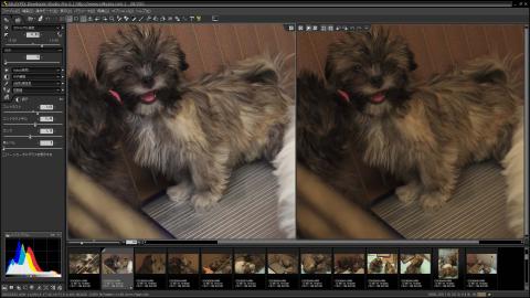 画面を分割して調整前と比較しながら調整もできる