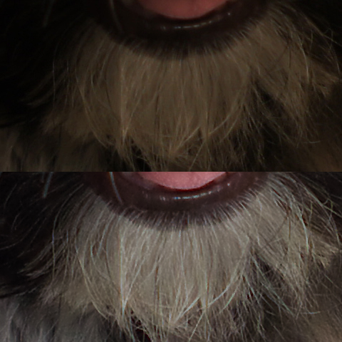 上が本体からのJPEG出力、下がSILKYPIX、解像度(解像感)がかなり上がっているように見える