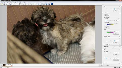 Sony Image Data Converter SR