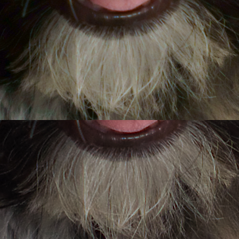 上がImage Data Converter SR、下がSILKYPIX