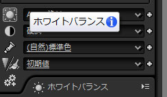 各項目をマウスオーバーした時に表示される項目名の右側にある(i)マークをクリックすると即座にヘルプが確認できる