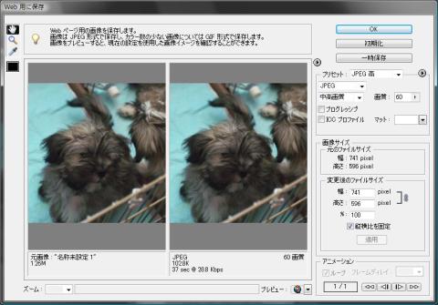 PhotoShopならプレビューと同時に出力時の画像サイズが表示される