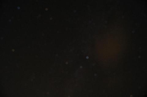 フォーカス合わせは難しいですね…