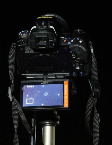 今日もピント合わせから