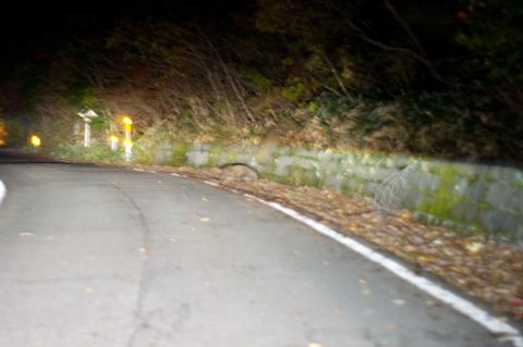 ウリ坊一家横断中…