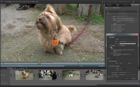 書き出し→コンピューター→その他サードパーティ製プラグイン→詳細設定を選択すると、MPEG2/h.264の選択やパラメータの設定ができる