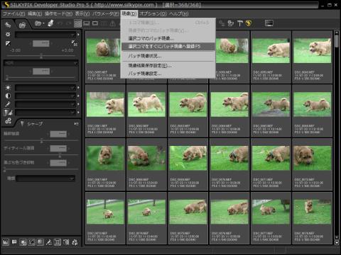 バッチ選択画面