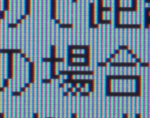 AF MICRO NIKKOR 60mm F2.8 サンプル③