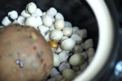 安納芋&銀杏焼き中