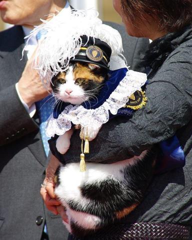 和歌山電鐵のたま駅長