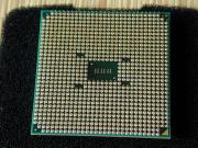 トゲトゲ・・・