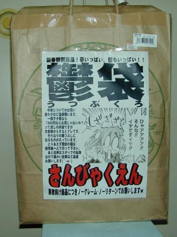 書いていることが色々と痛い・・・
