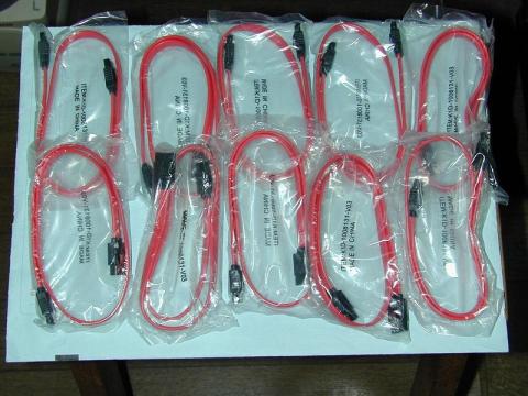 10本キタ━━━ヽ(∀゚ )人(゚∀゚)人( ゚∀)ノ━━━!!!