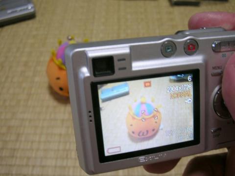 記念撮影(´・ω・`)