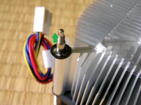 菊ワッシャのようなもの