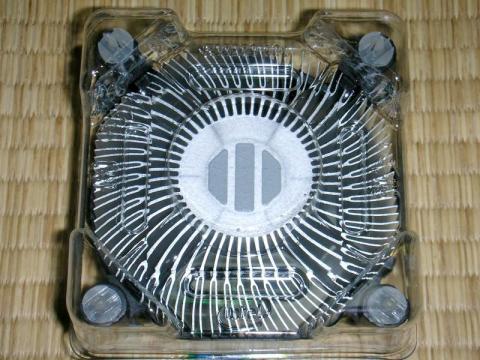 発熱が少ないからか・・