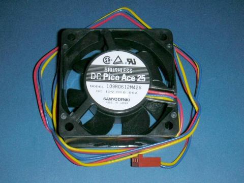 神々しい山洋のファン!