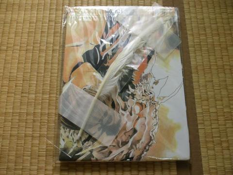 ・・・原作知らないけど、この羽は何?