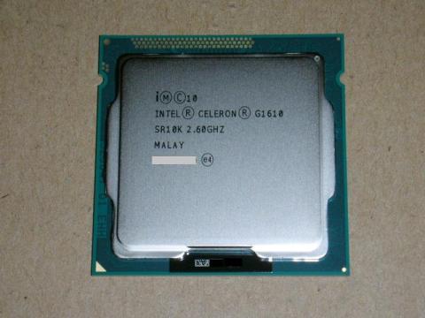 セロリンたん(*´д`*)ハァハァ