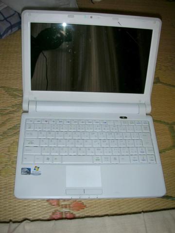 復活させたいですね