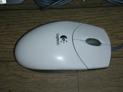 私の中ではスタンダードなマウス(;=゚ω゚)=333