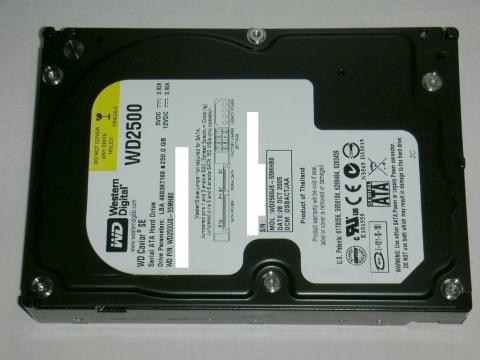 ちょっと高級そうな黒キャビア!