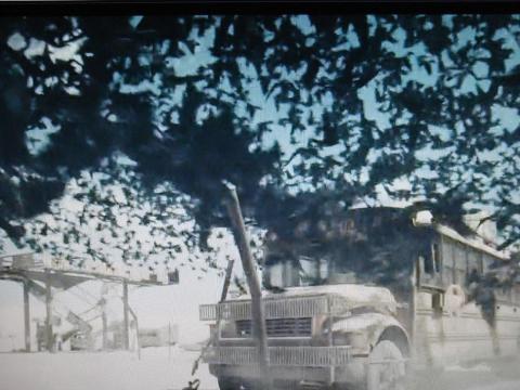 カラスが舞うシーン