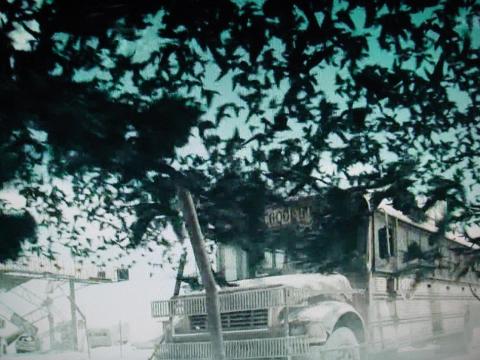 カラスが舞うシーンHD