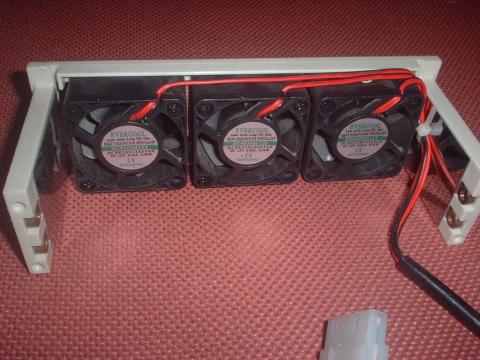 このファンは女の子です、たぶん。