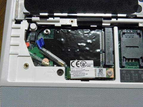 ルームシェア募集中