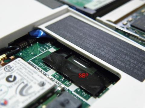 ここにもシャイな子が