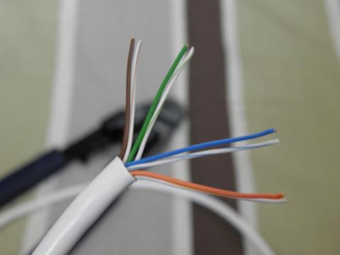 まっすぐぴーん!