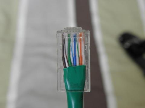 今日のドナー(?)