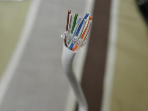 触手っぽ・・・