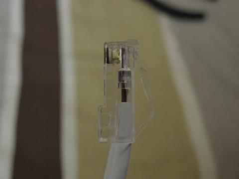 できたてホヤホヤ