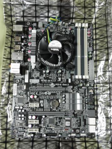 カラー写真です