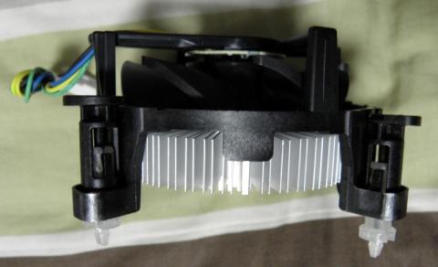 カニみたいだよね