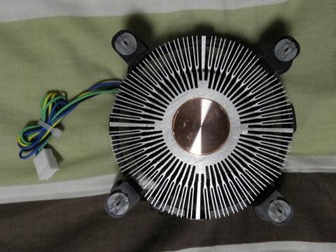 亀の子ひっくり返った