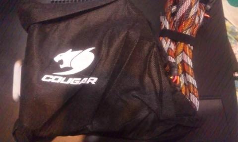 袋に入ったクーガー