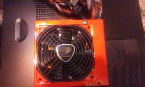 袋から出したクーガー