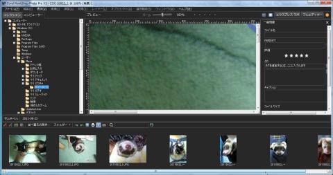 自動的にフォルダにコピーされた様子