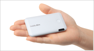 本当の手のひらサイズ