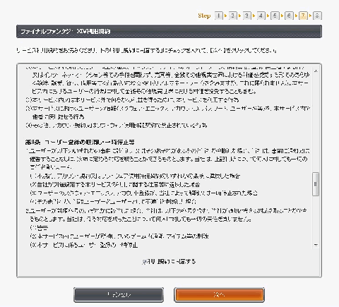 「FINAL FANTASY XIVの利用規約」です。「同意する」にチェックを入れて、「次へ」