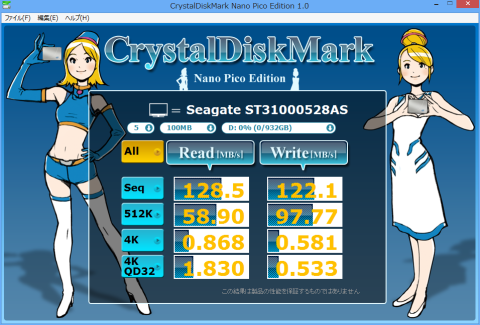 Seagate ST31000528AS