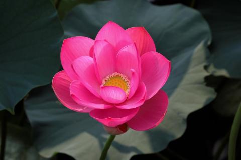 カラーテイスト適用後